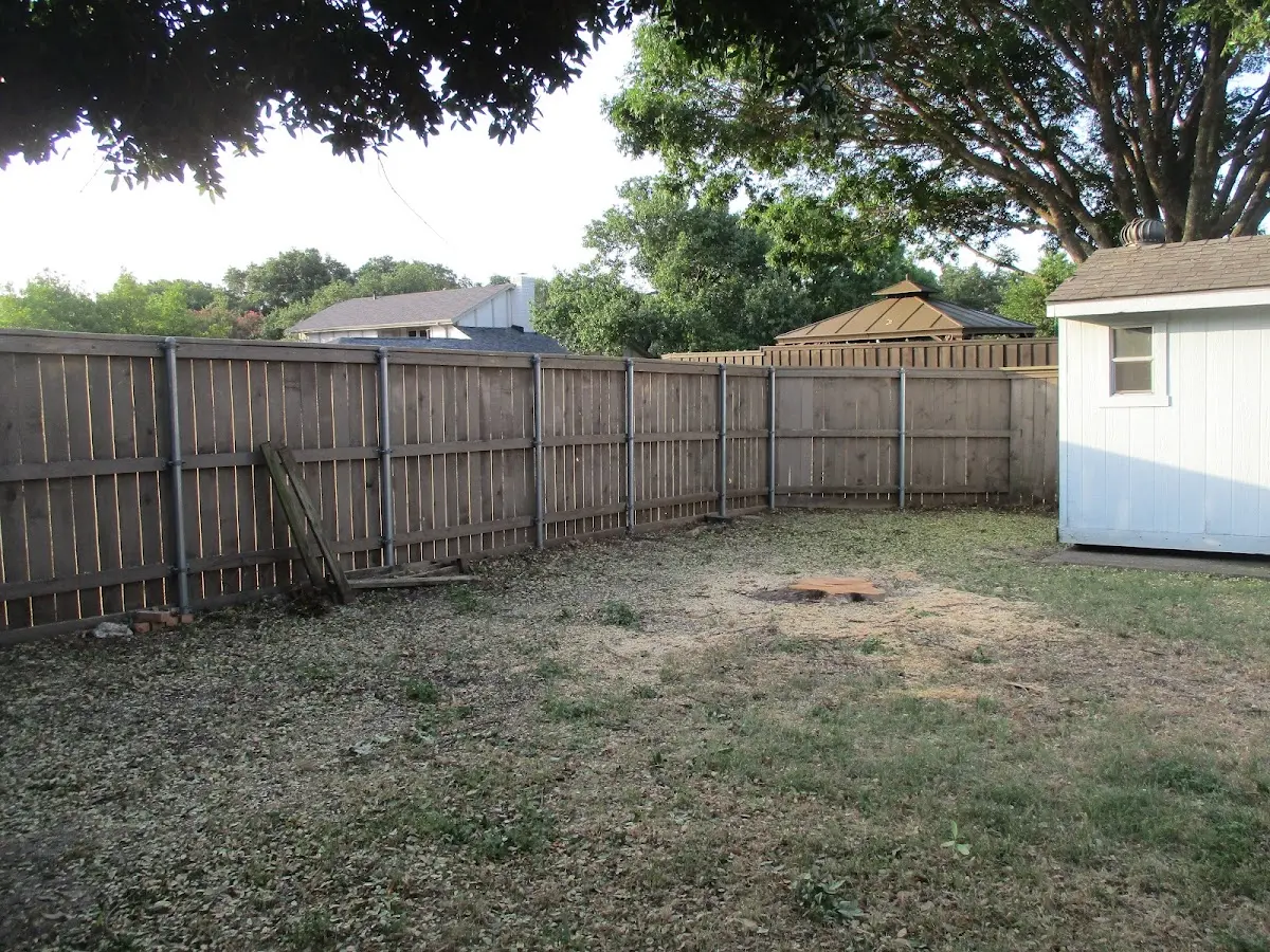 Cleared yard after professional tree removal in Burnt Ranch